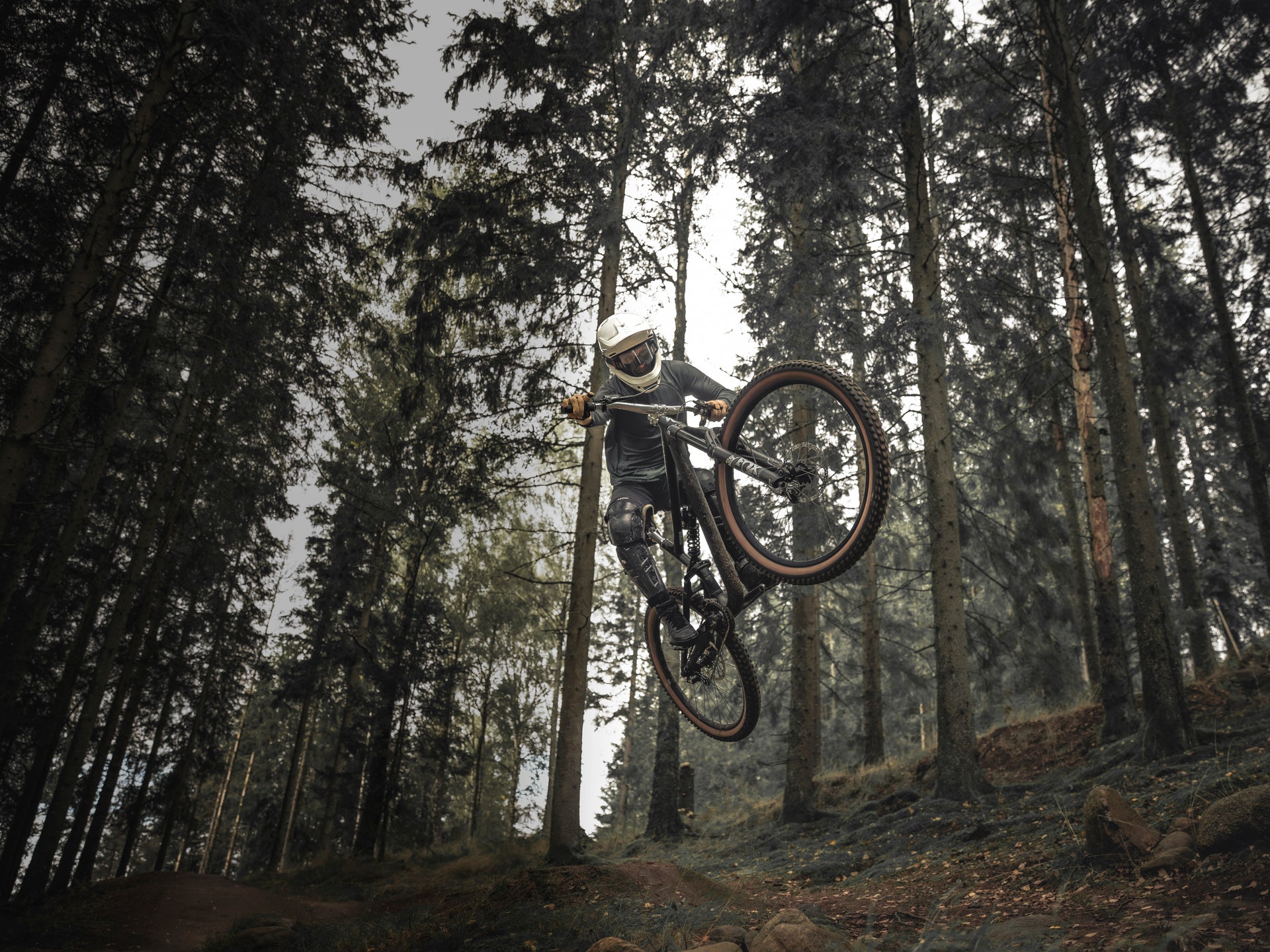 Mountain biker mid-jump on a forest trail, tall pines all around